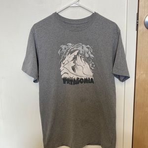 Men’s Patagonia Tshirt